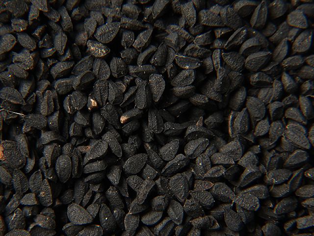 BLACK SEED OIL (TQ)